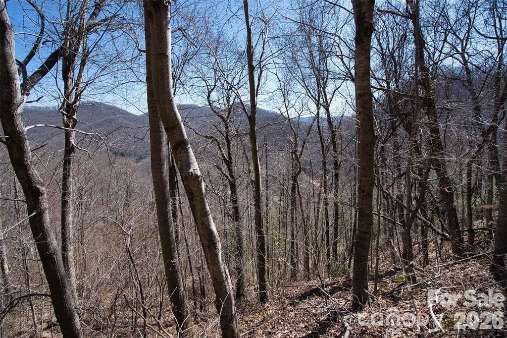 11 Taryn Trace #16 - Photo 10