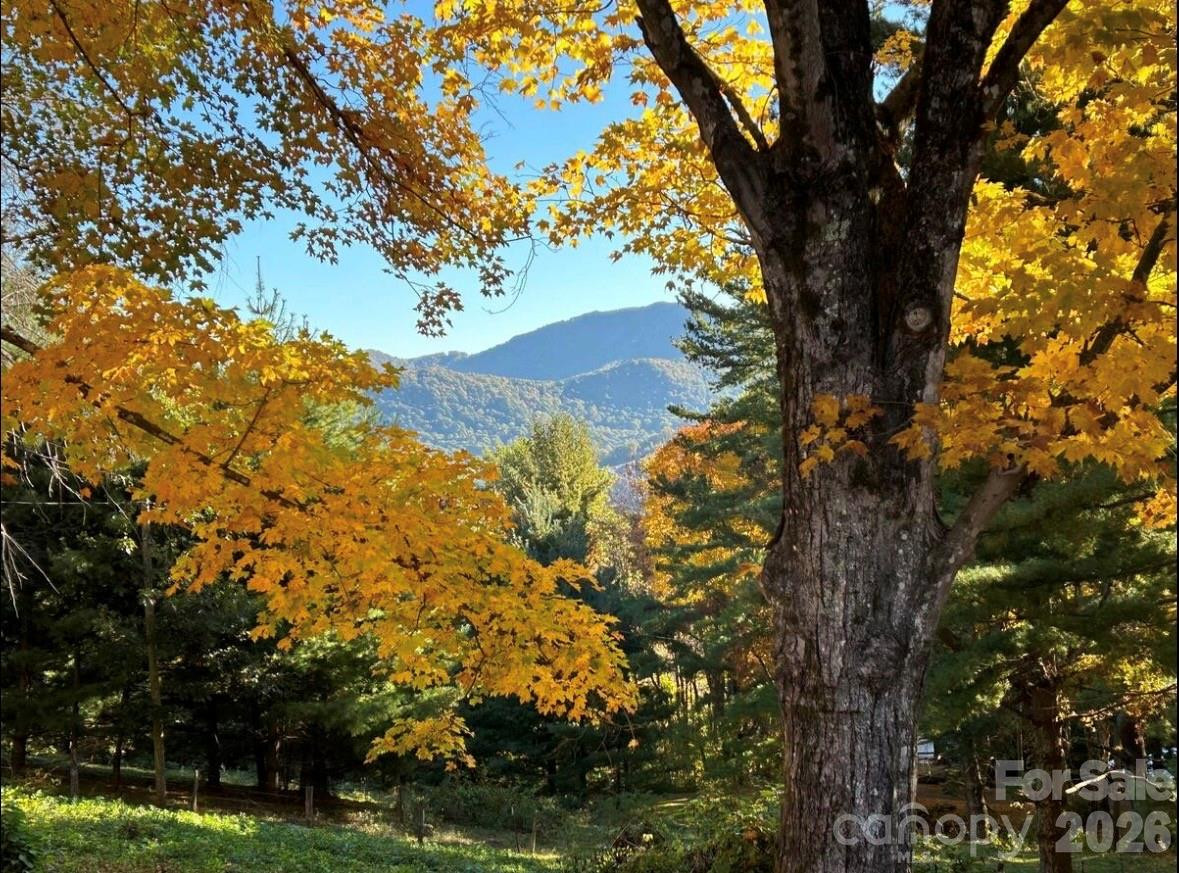 30 Grove Park - Photo 24