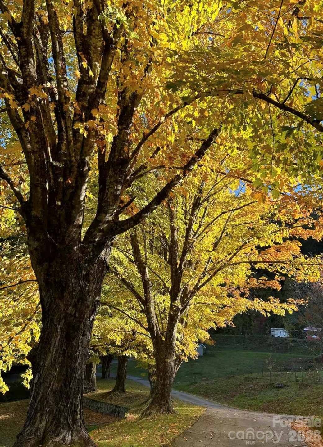 30 Grove Park - Photo 25