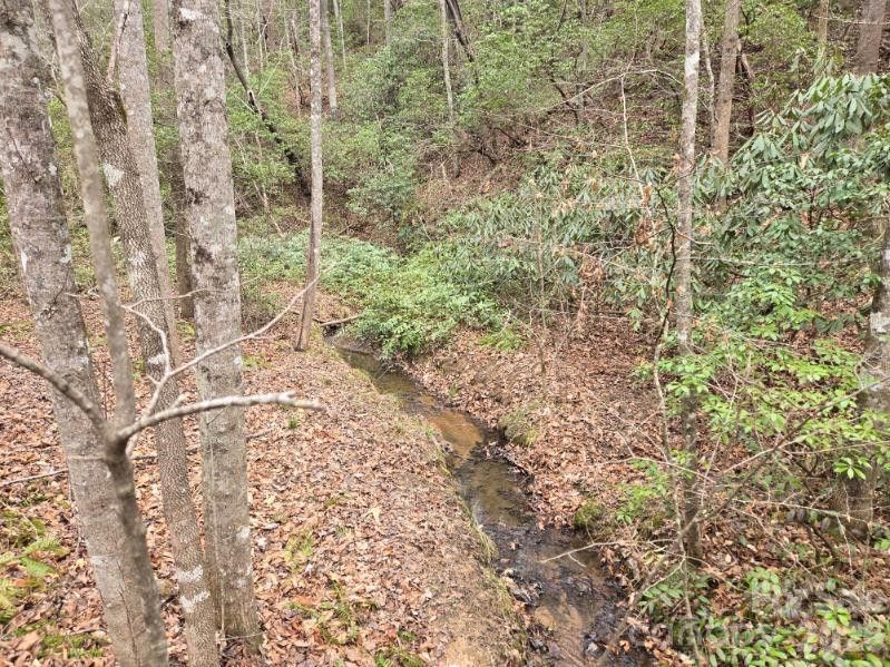 575 Shannons Walk - Photo 2