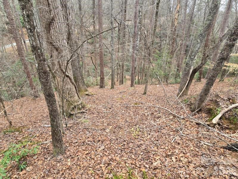 575 Shannons Walk - Photo 11