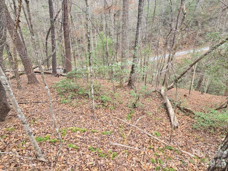 575 Shannons Walk - Photo 12