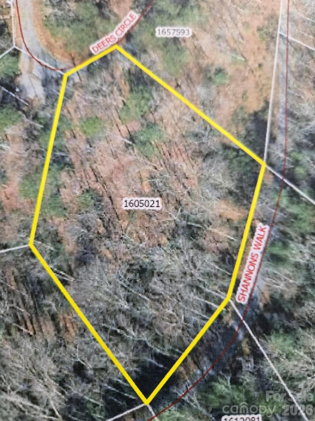 575 Shannons Walk - Photo 15