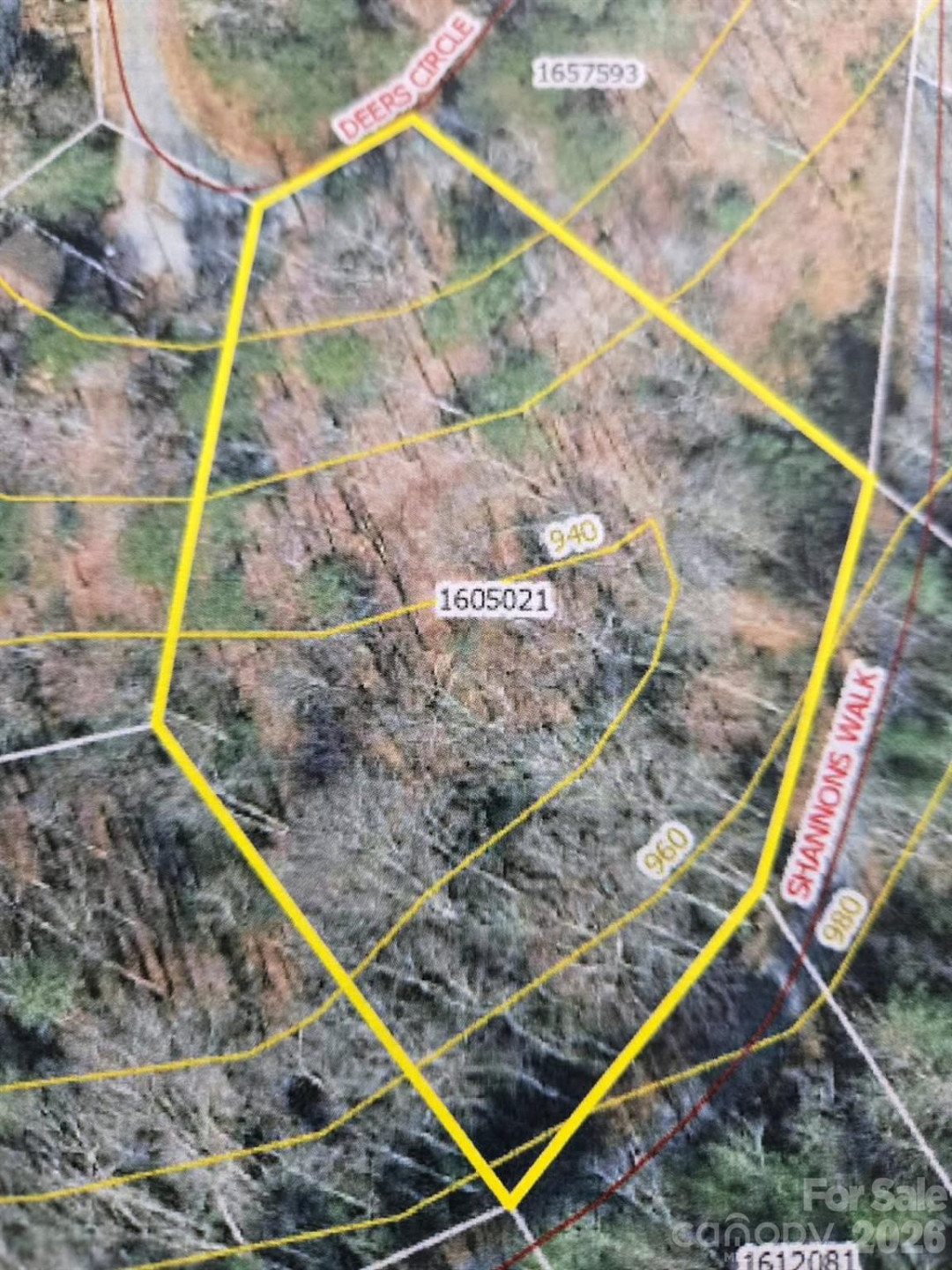 575 Shannons Walk - Photo 4