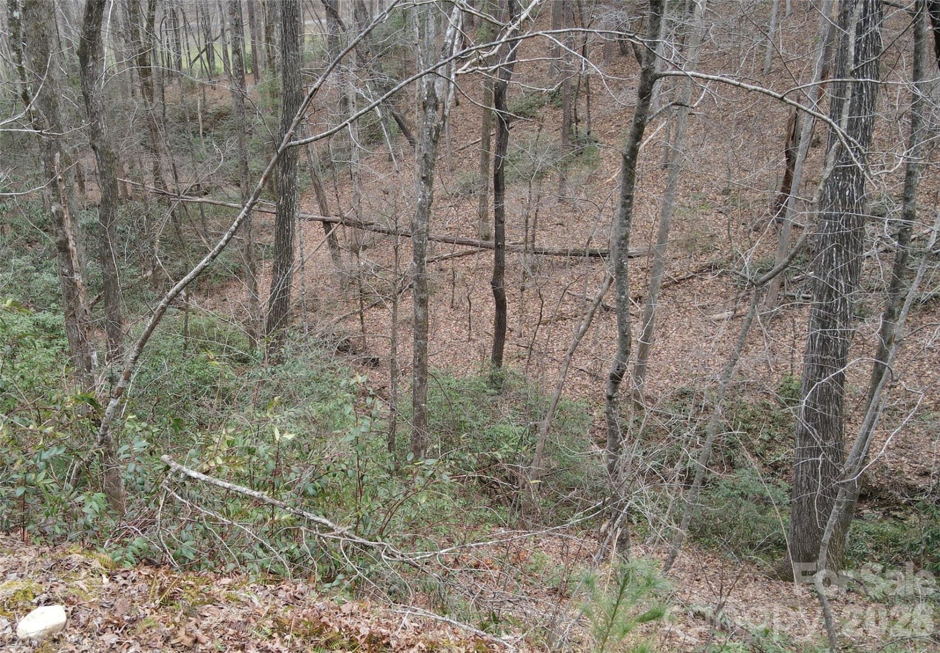 575 Shannons Walk - Photo 6