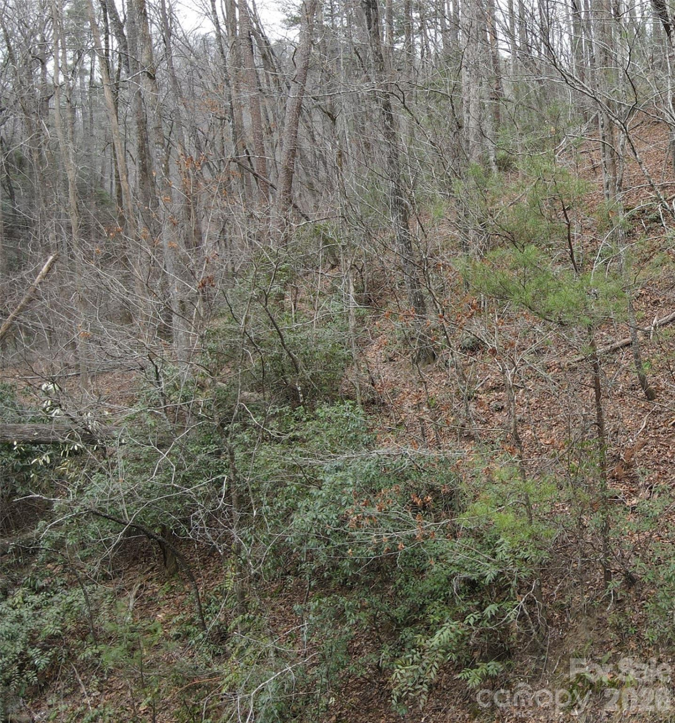 575 Shannons Walk - Photo 7