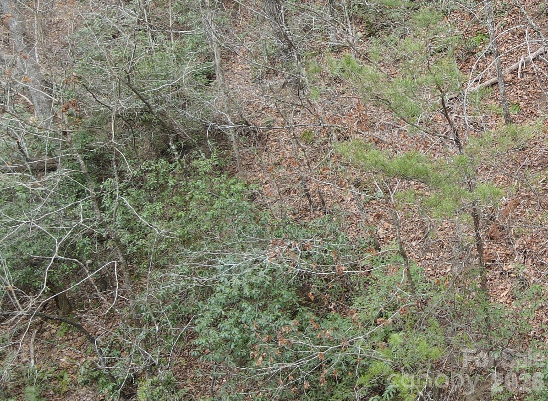 575 Shannons Walk - Photo 8