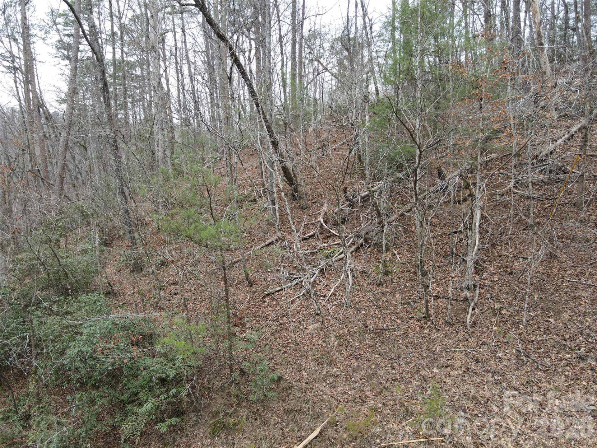 575 Shannons Walk - Photo 9