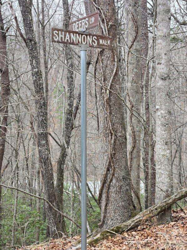 575 Shannons Walk - Photo 10
