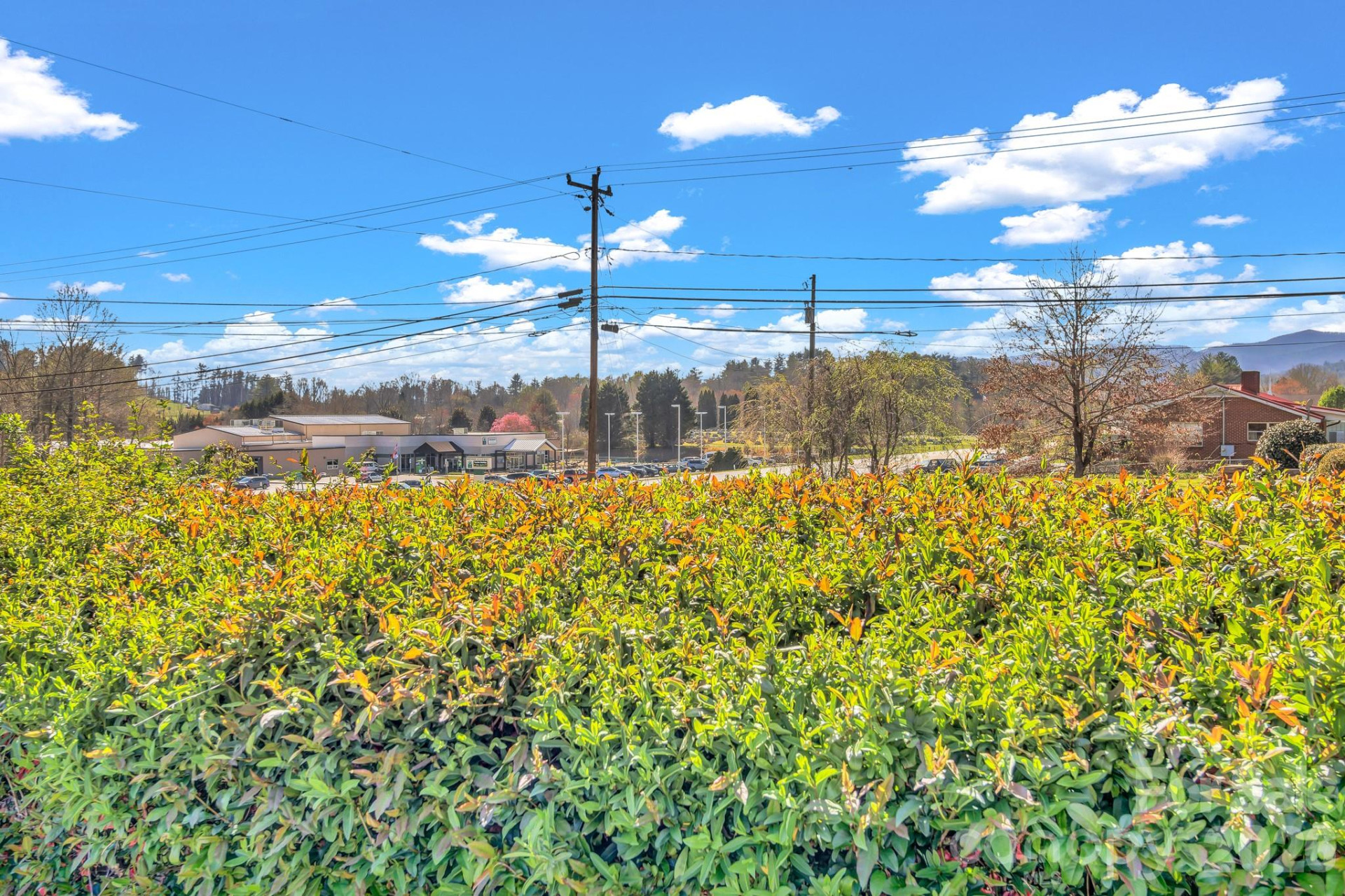 1195 Hendersonville Highway - Photo 8