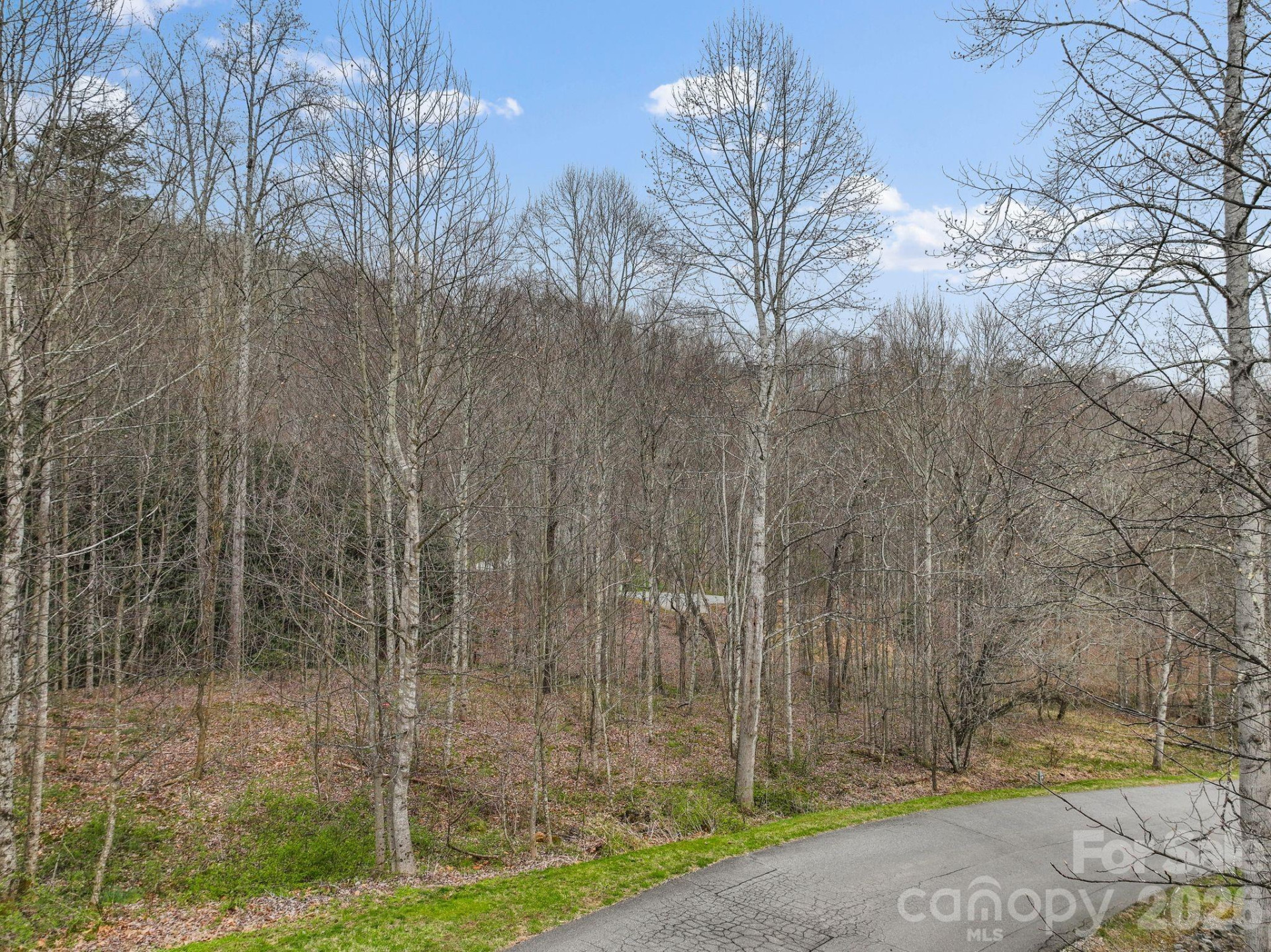 9999 Talking Rock Lane - Photo 2