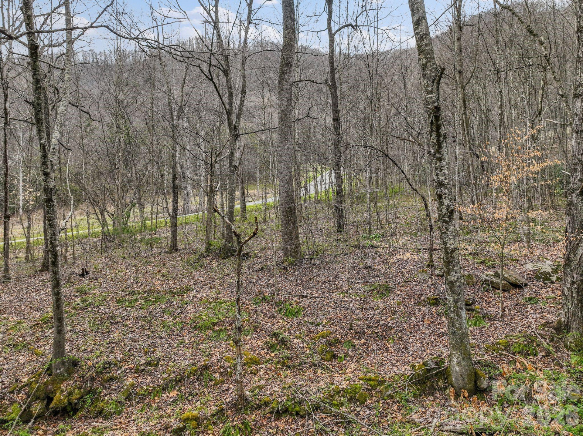 9999 Talking Rock Lane - Photo 3