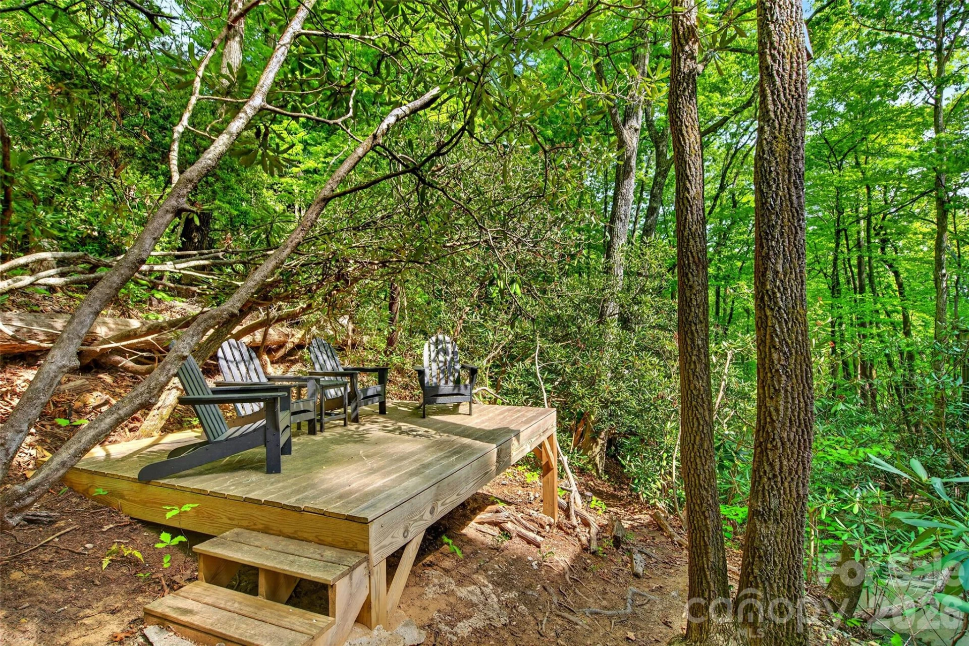 102 Frist Road - Photo 38