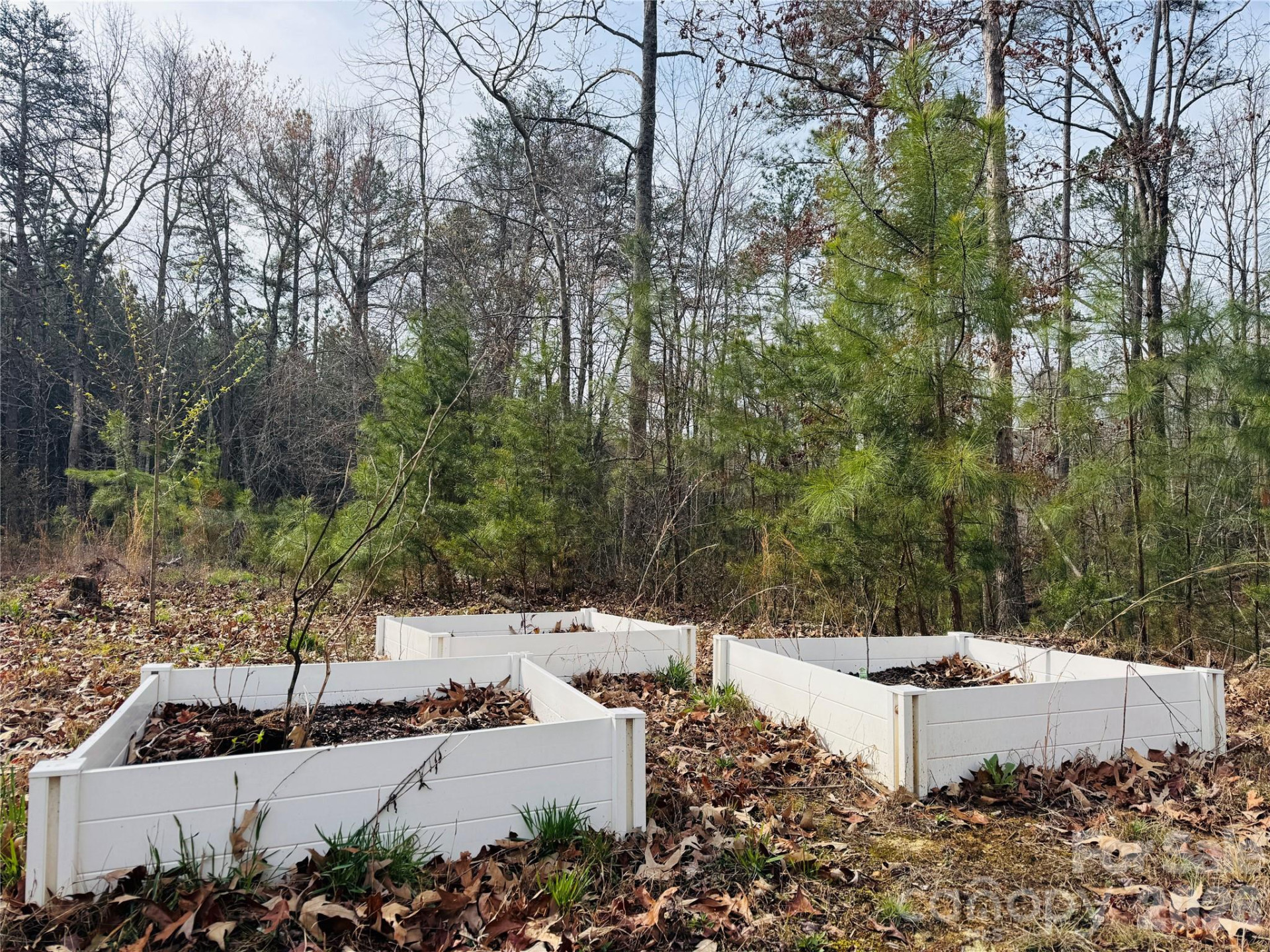 518 Nors Way - Photo 5