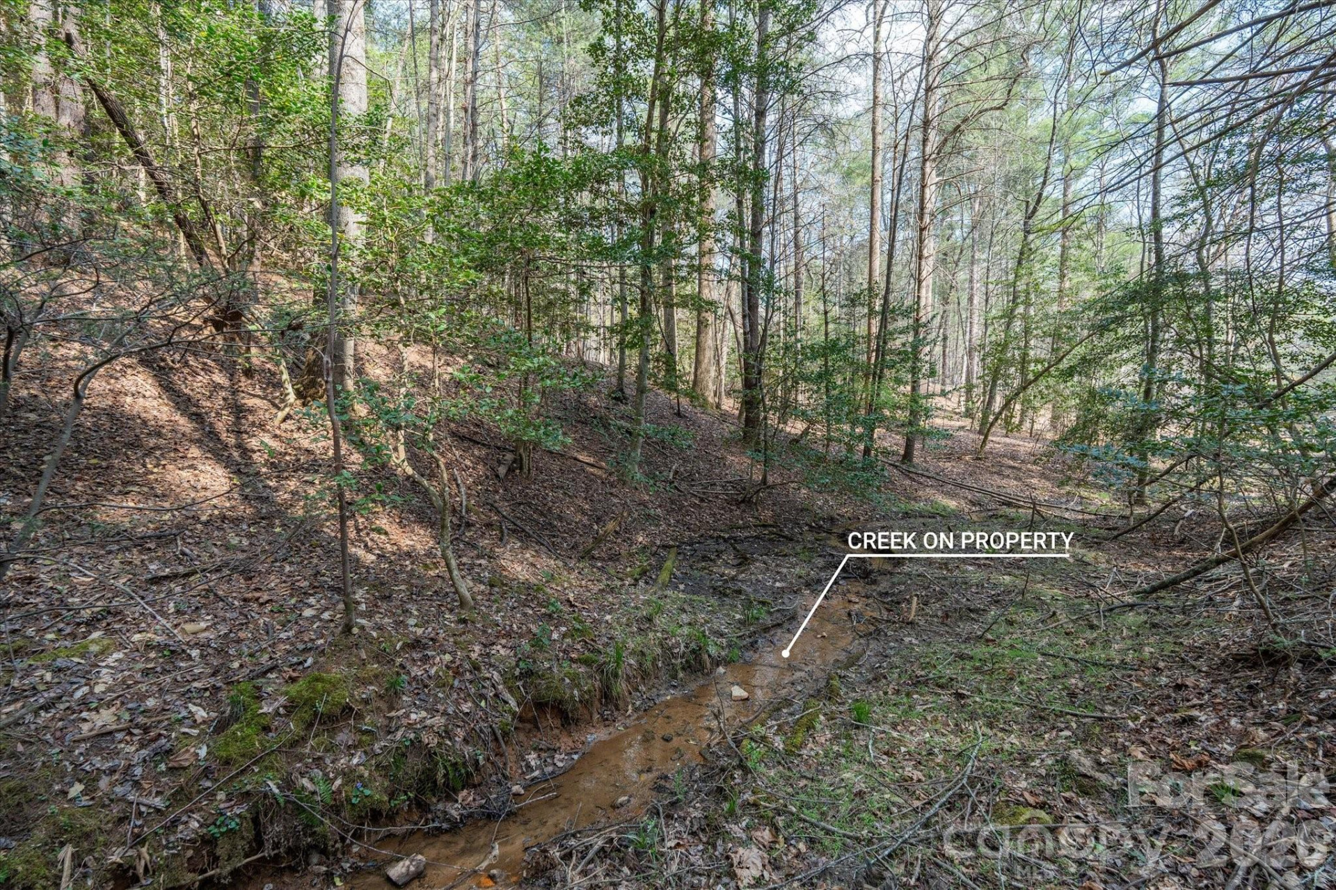 40 Turtle Head Drive - Photo 11