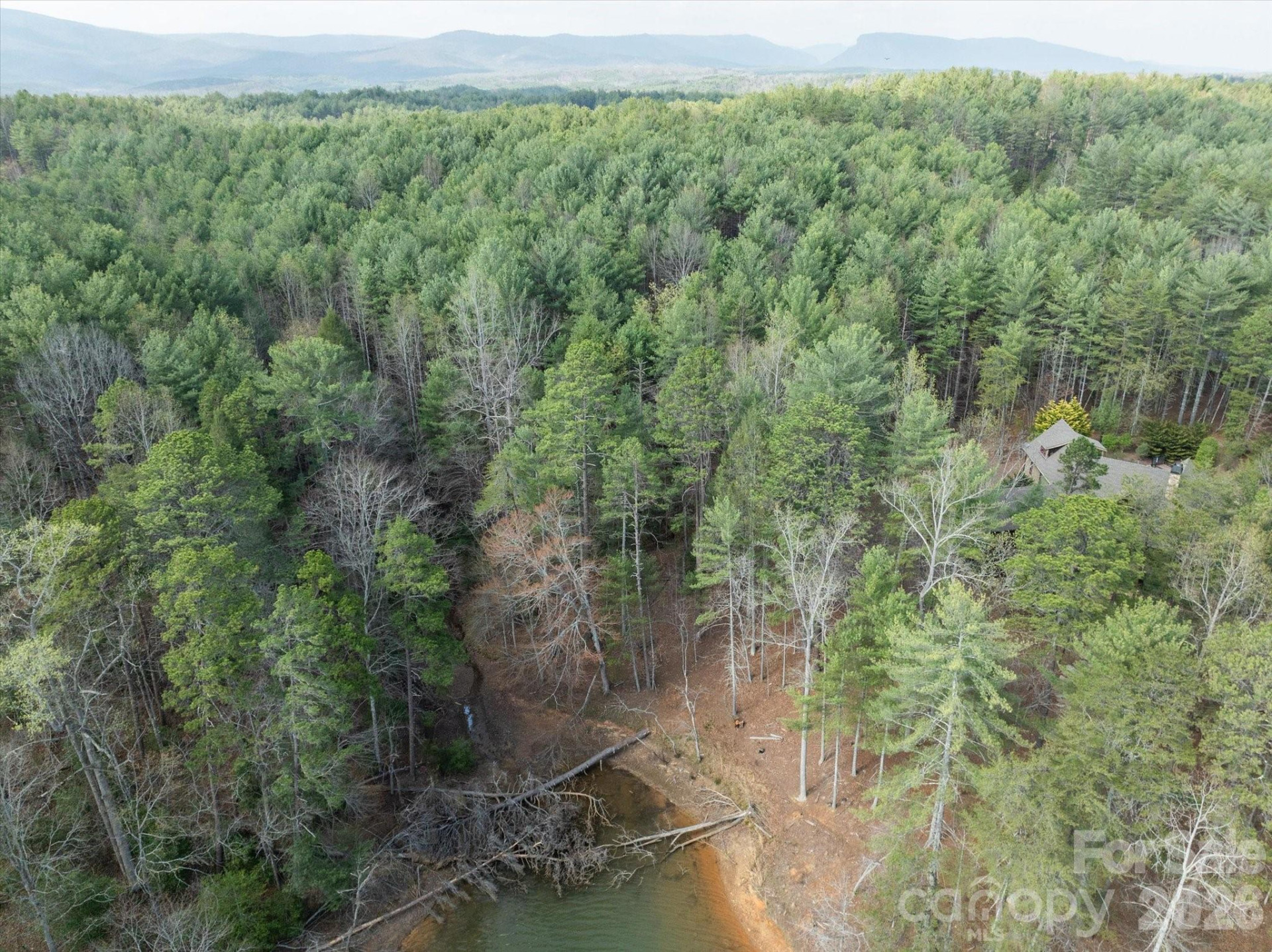 40 Turtle Head Drive - Photo 6