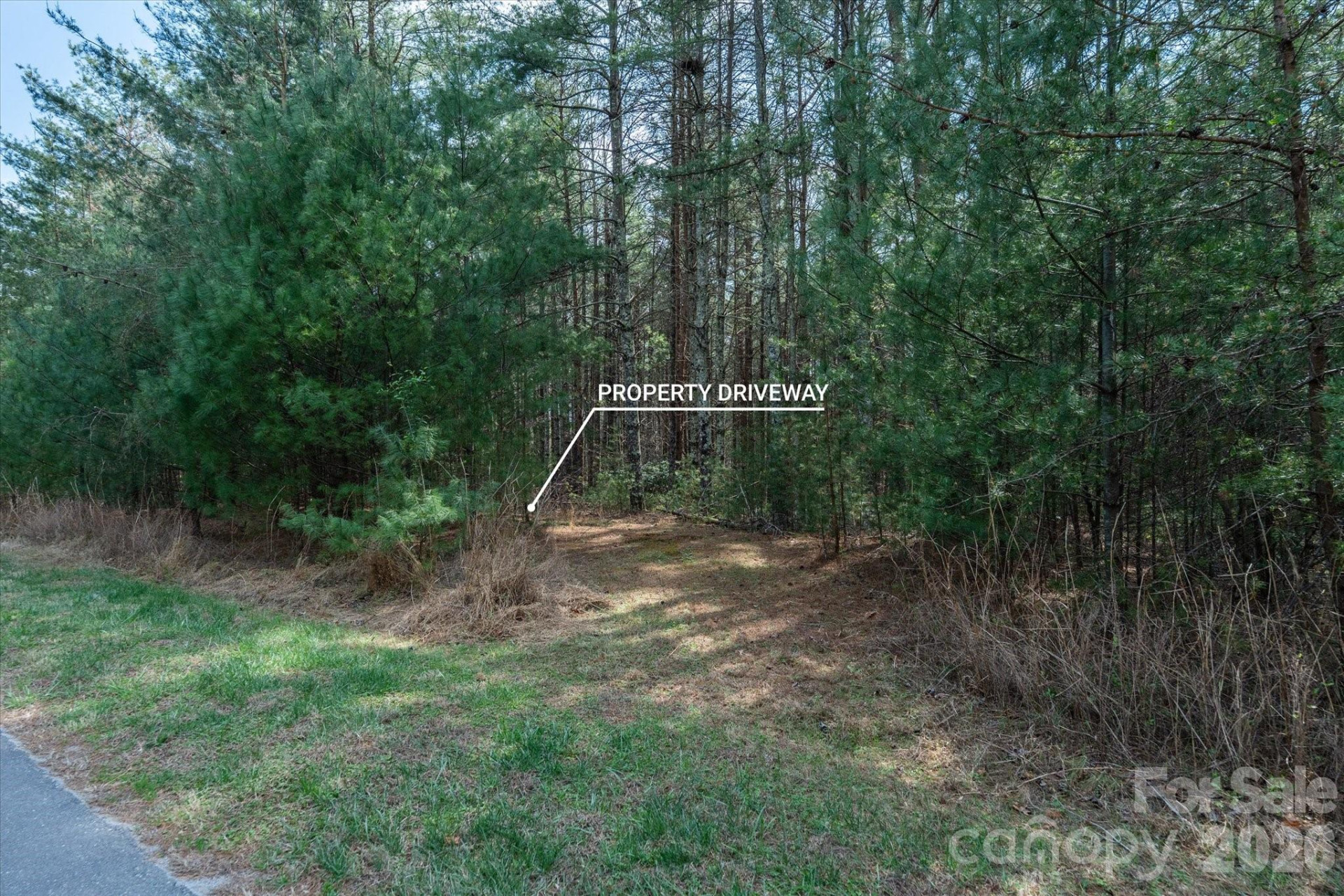 40 Turtle Head Drive - Photo 7