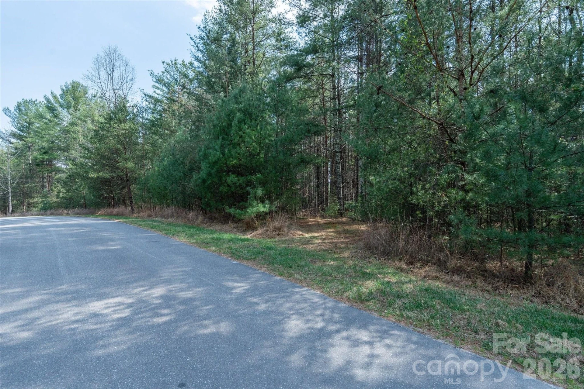 40 Turtle Head Drive - Photo 8