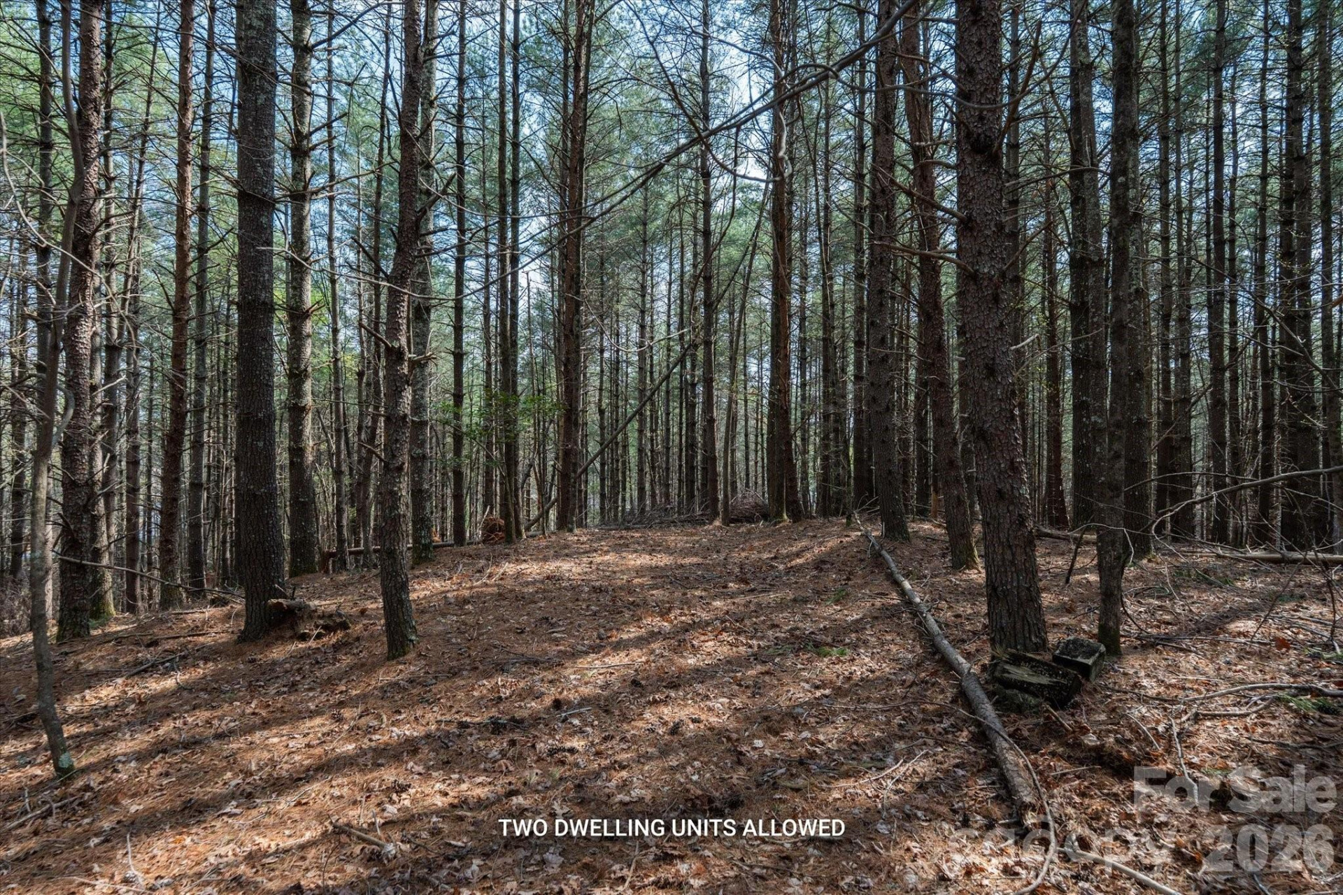 40 Turtle Head Drive - Photo 9