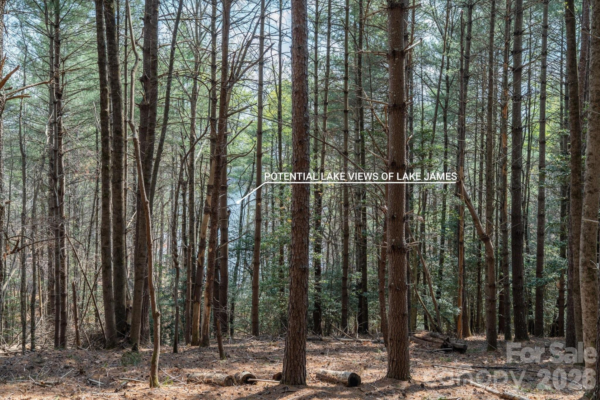 40 Turtle Head Drive - Photo 10