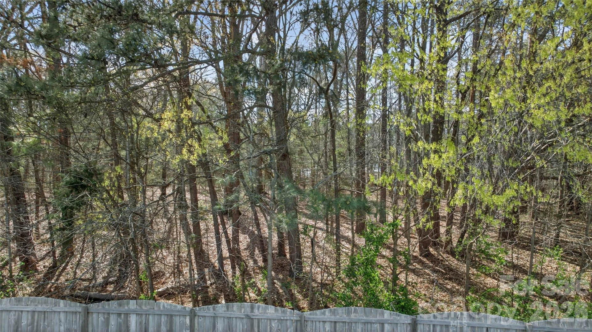 2408 Labelle Drive - Photo 15