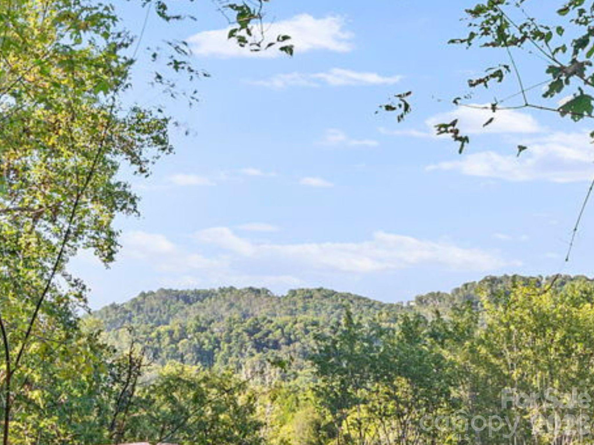 39 Spooks Branch Extension - Photo 2