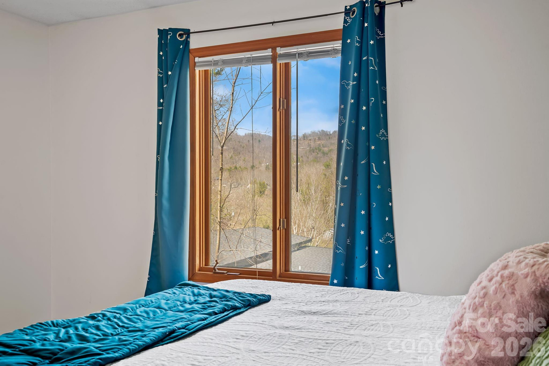 39 Spooks Branch Extension - Photo 20