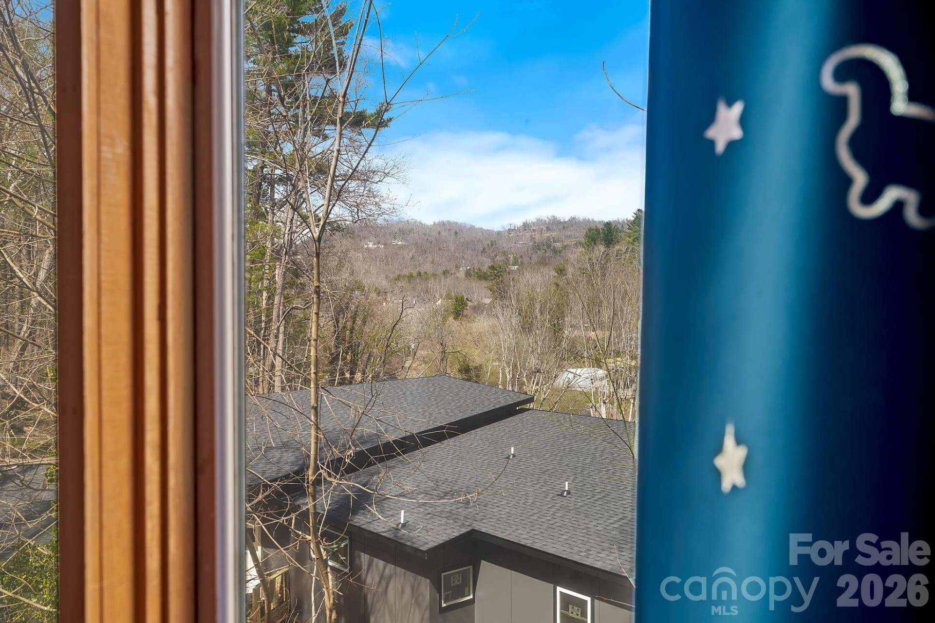 39 Spooks Branch Extension - Photo 21