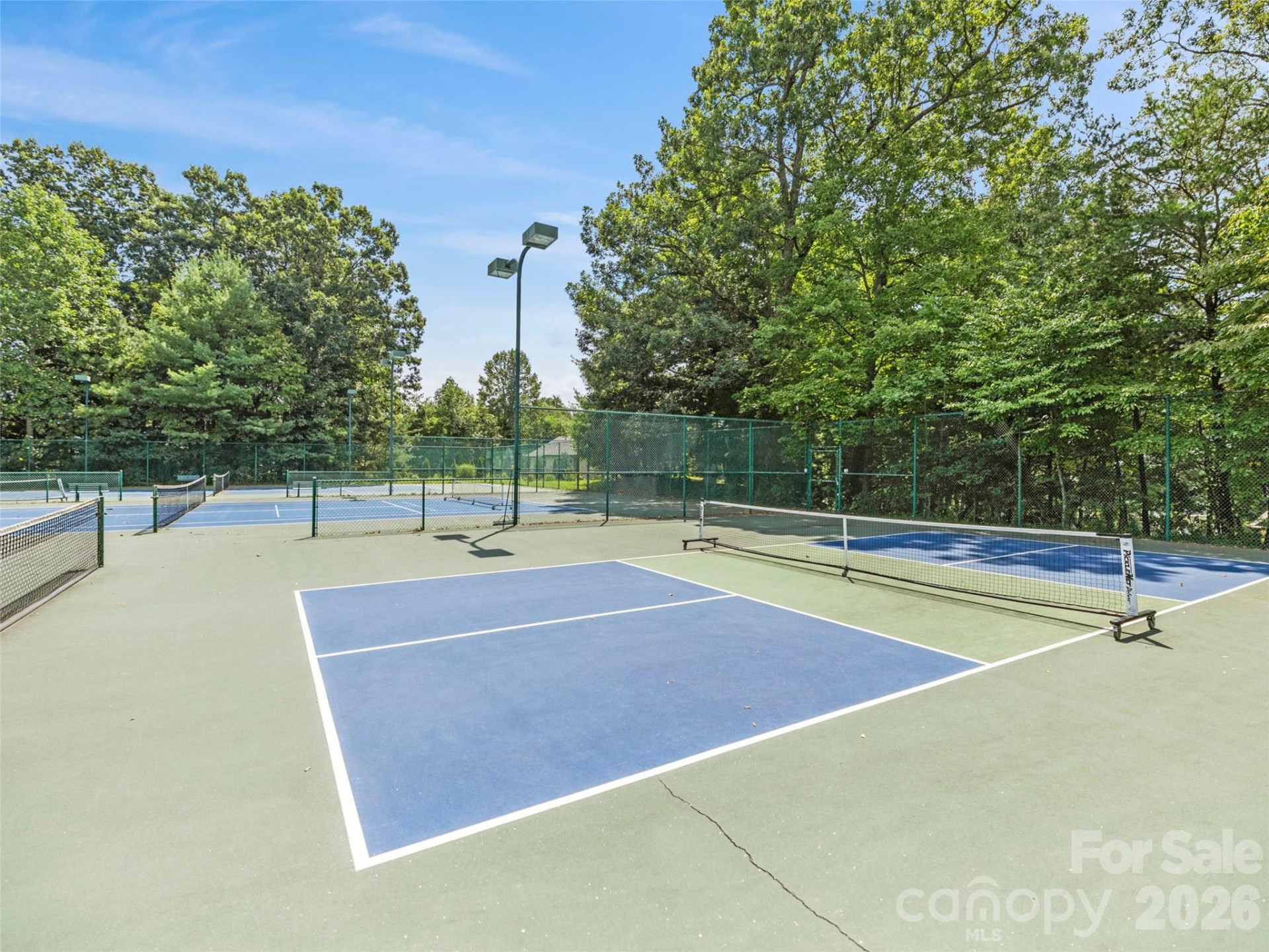 21 Sugar Maple Drive - Photo 46