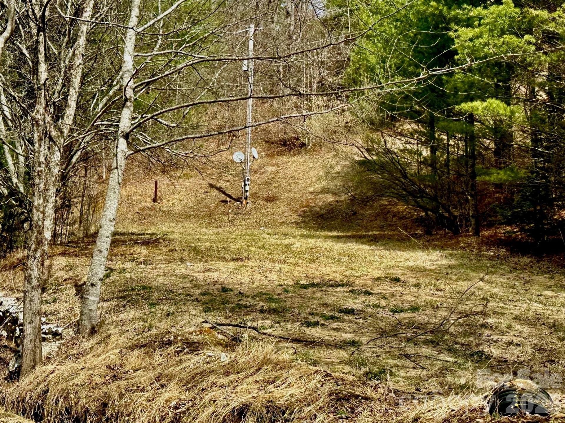 65 Blue Ridge Gem Mine Road - Photo 29