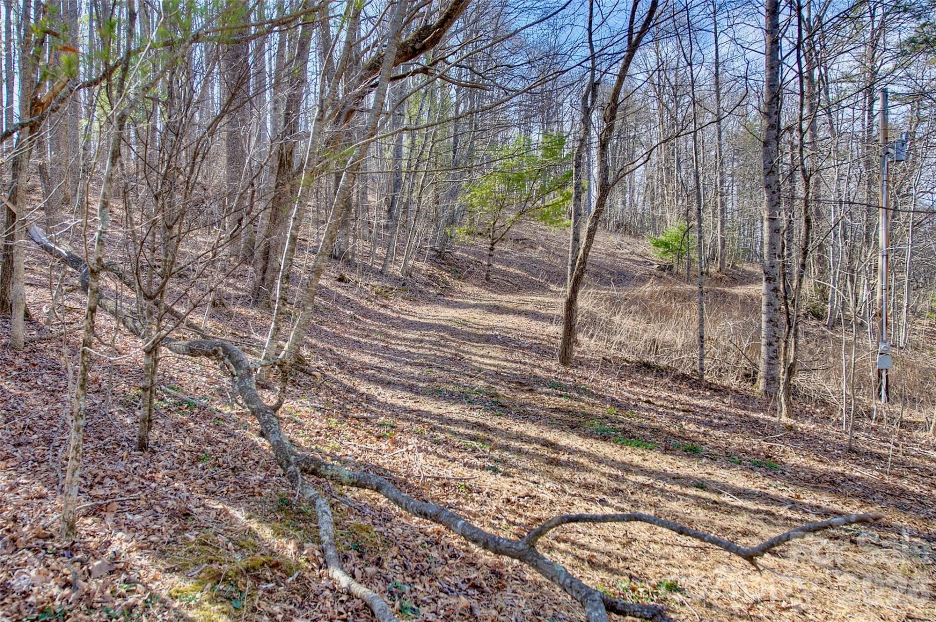 65 Blue Ridge Gem Mine Road - Photo 4