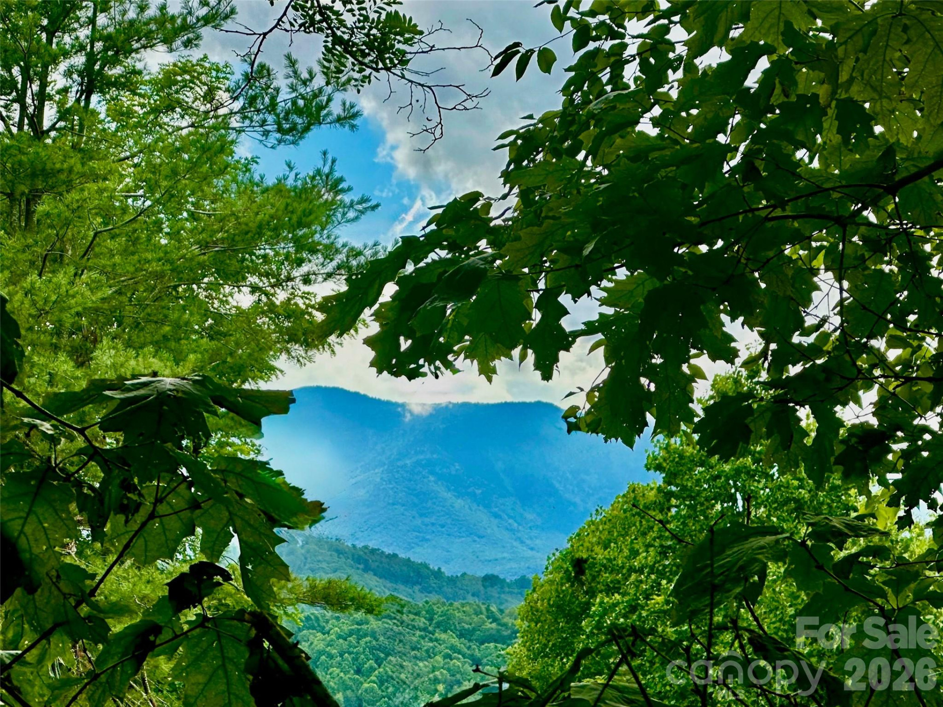 65 Blue Ridge Gem Stone Road - Photo 48