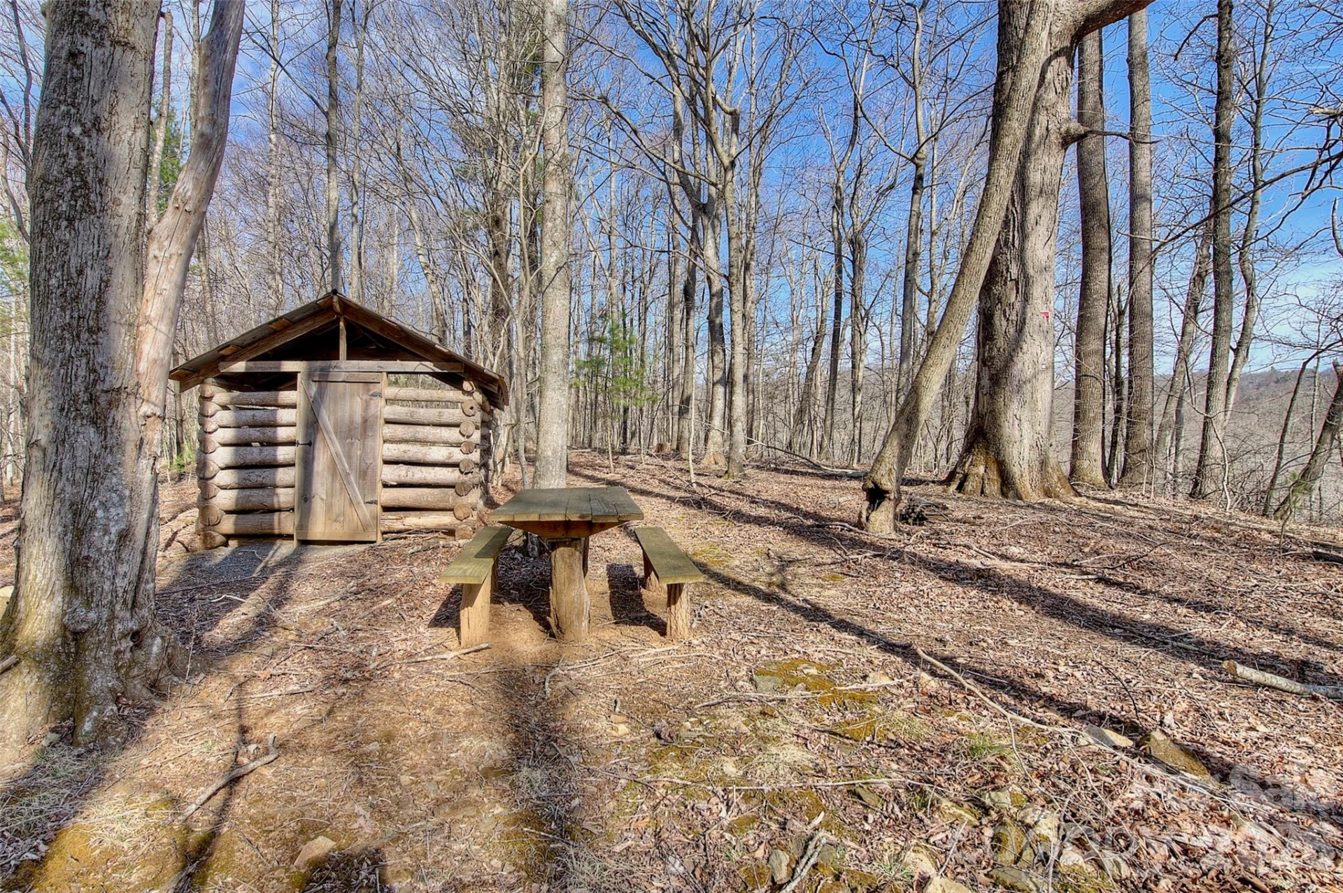 65 Blue Ridge Gem Mine Road - Photo 6