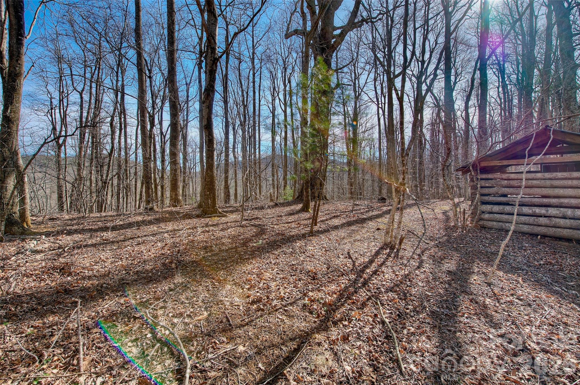 65 Blue Ridge Gem Stone Road - Photo 7