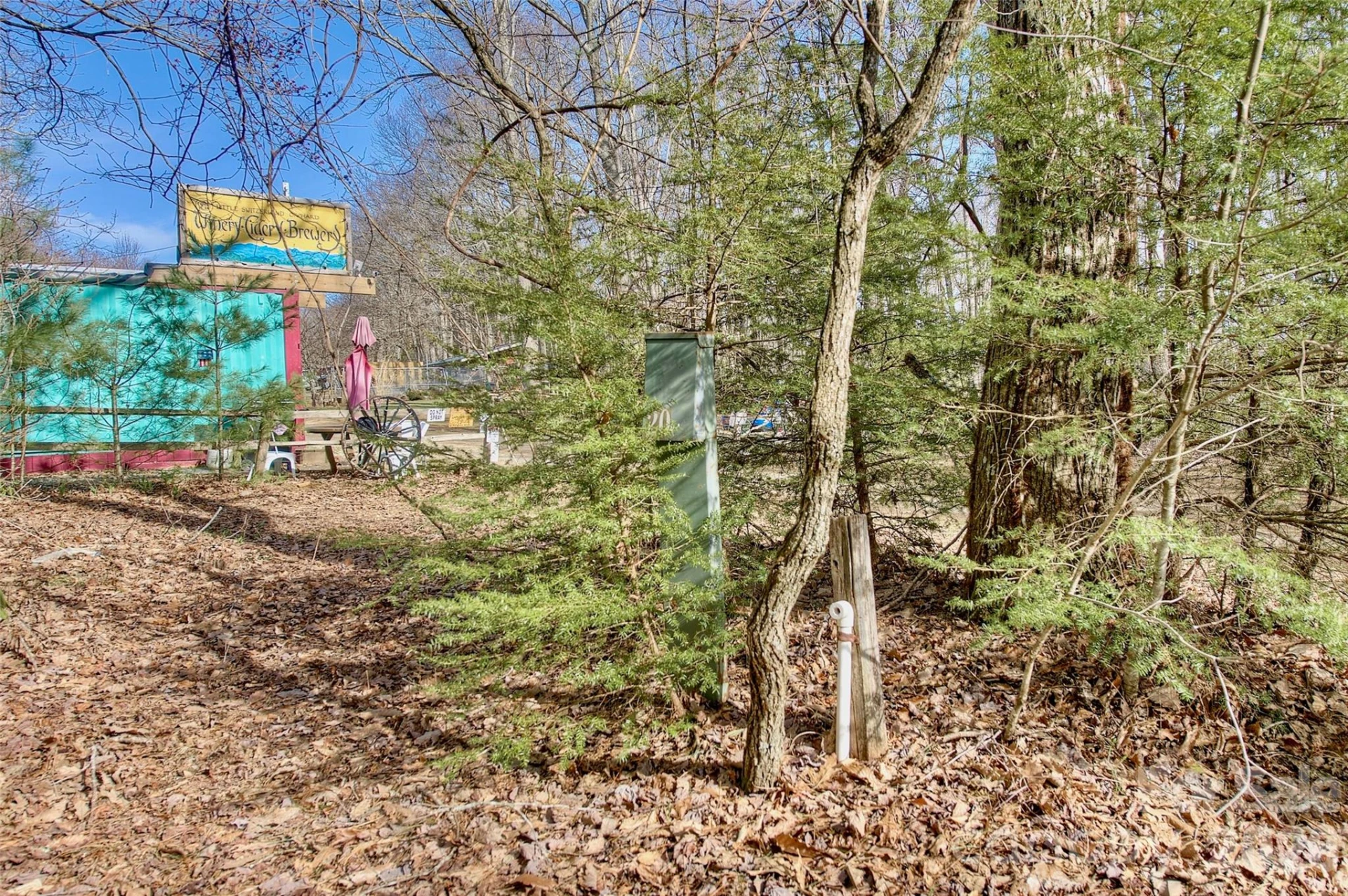 65 Blue Ridge Gem Mine Road - Photo 8
