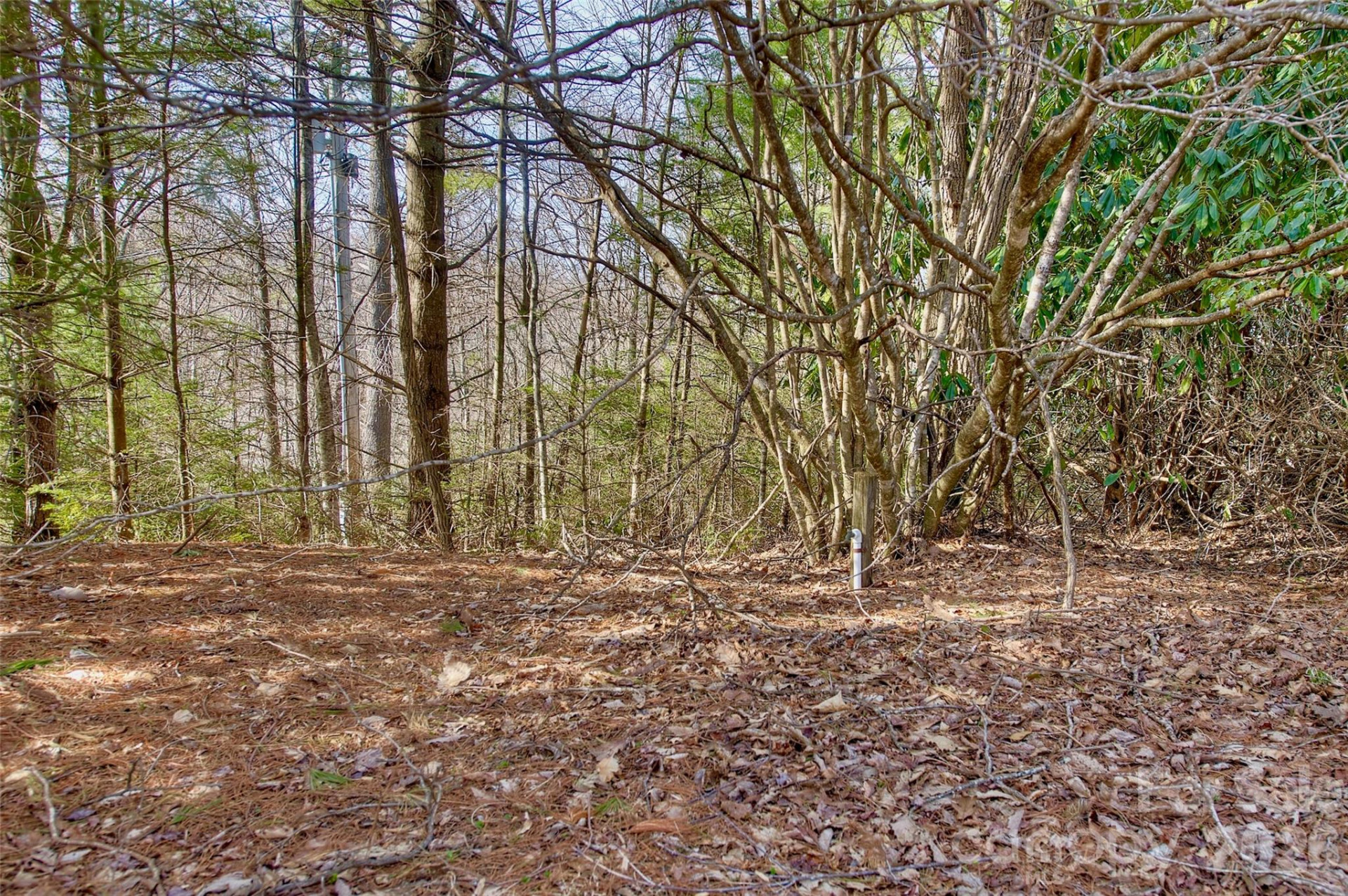 65 Blue Ridge Gem Stone Road - Photo 9