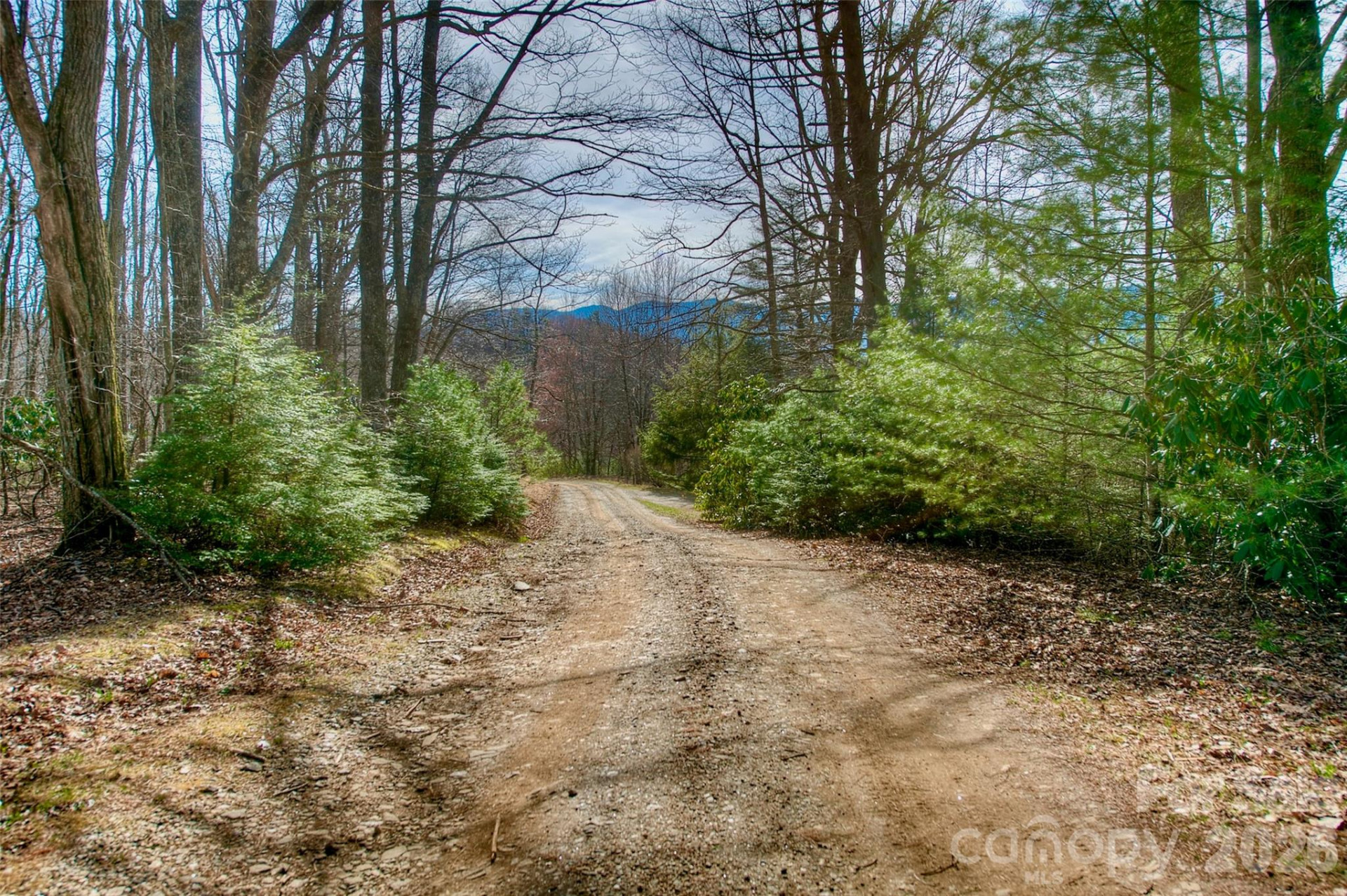65 Blue Ridge Gem Stone Road - Photo 10