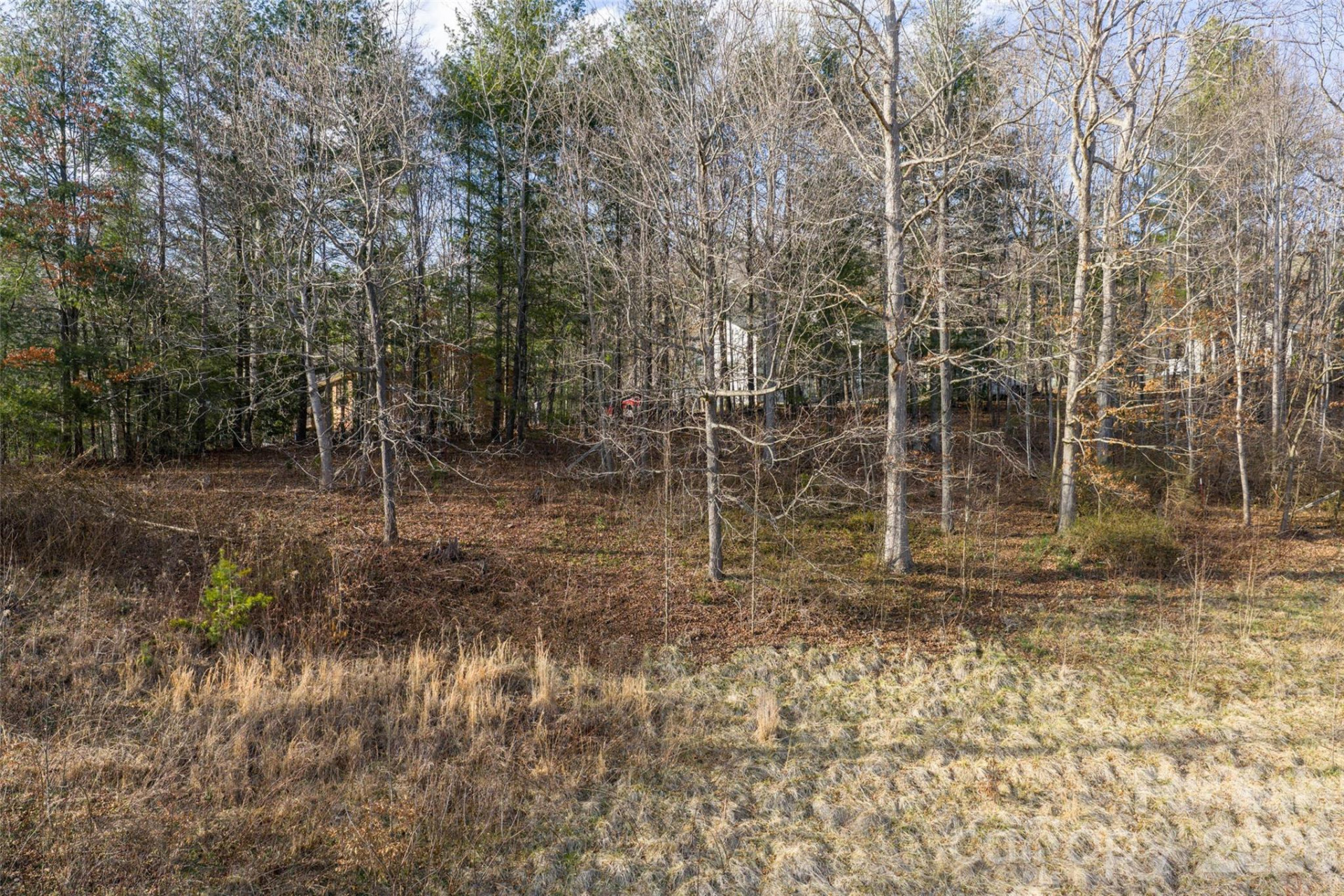 00 Noland Downs Road - Photo 6