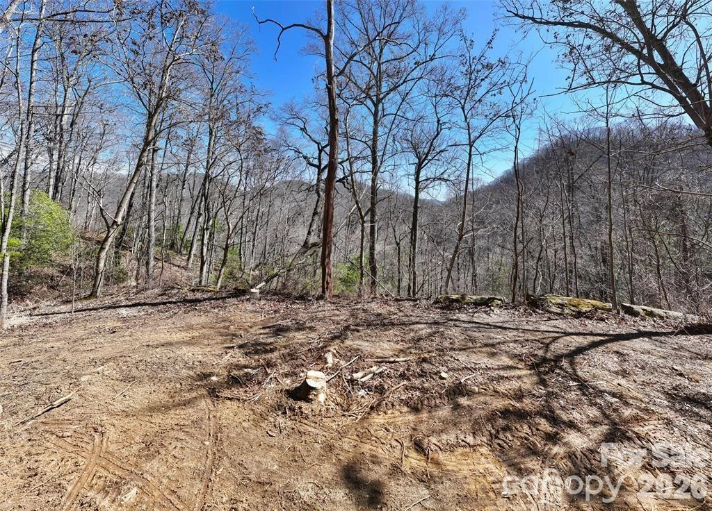 99999 Green Ridge Falls Road #17 - Photo 2