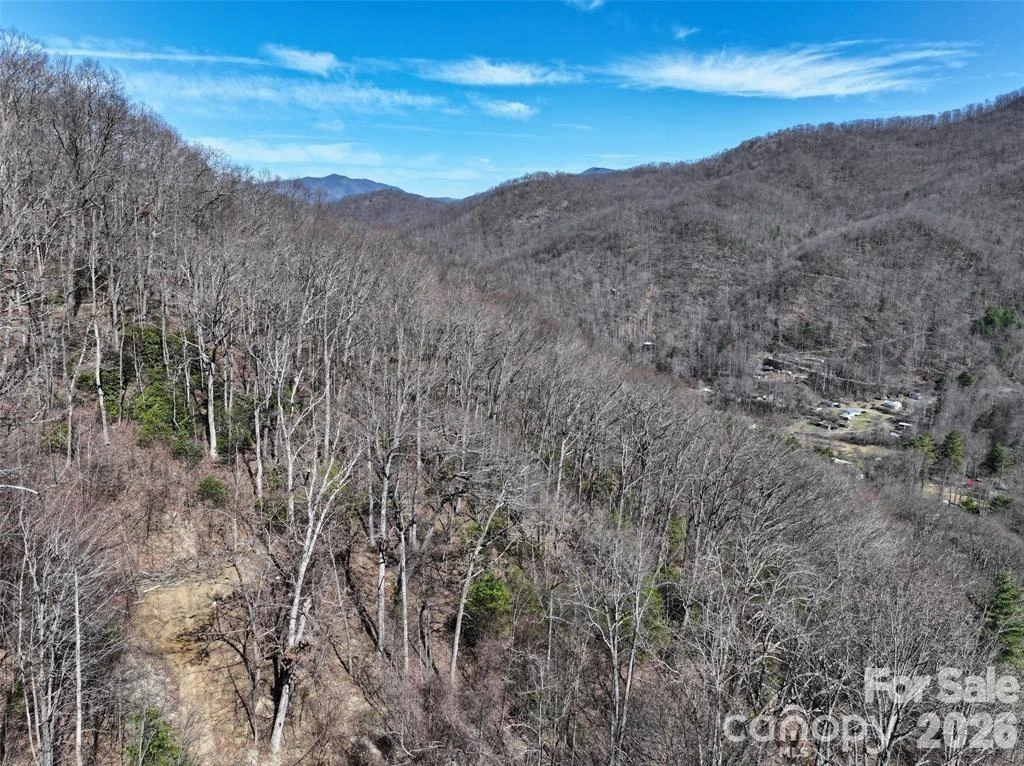 99999 Green Ridge Falls Road #17 - Photo 11