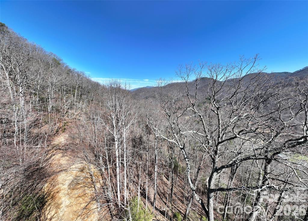 99999 Green Ridge Falls Road #17 - Photo 13