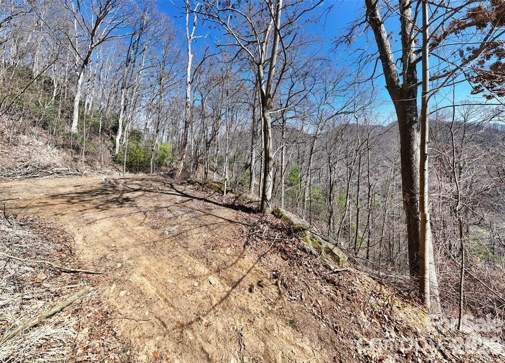 99999 Green Ridge Falls Road #17 - Photo 4