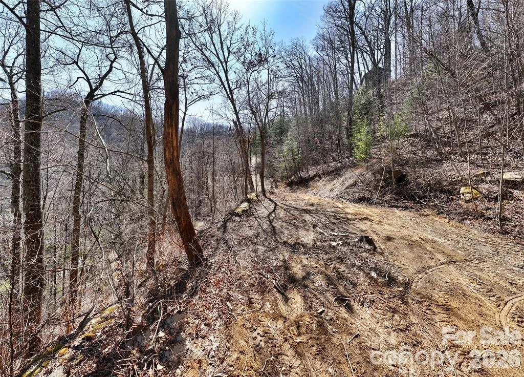 99999 Green Ridge Falls Road #17 - Photo 5