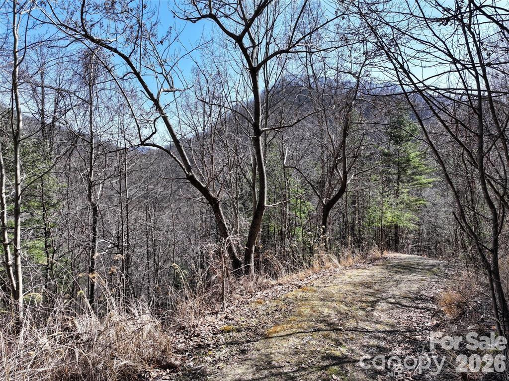 99999 Green Ridge Falls Road #17 - Photo 6