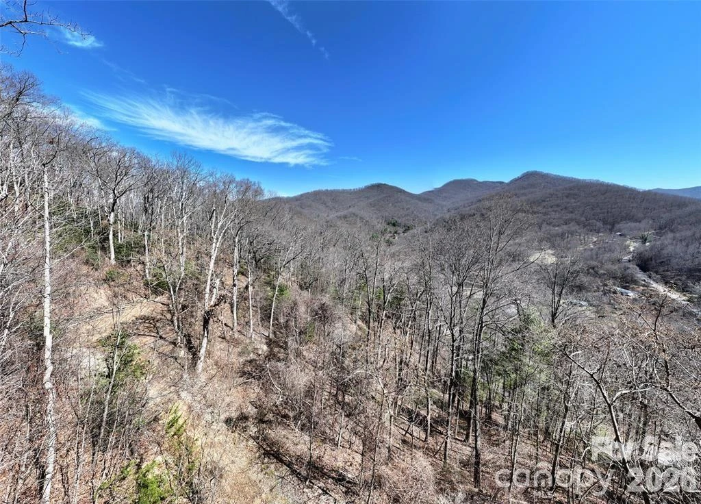 99999 Green Ridge Falls Road #17 - Photo 7