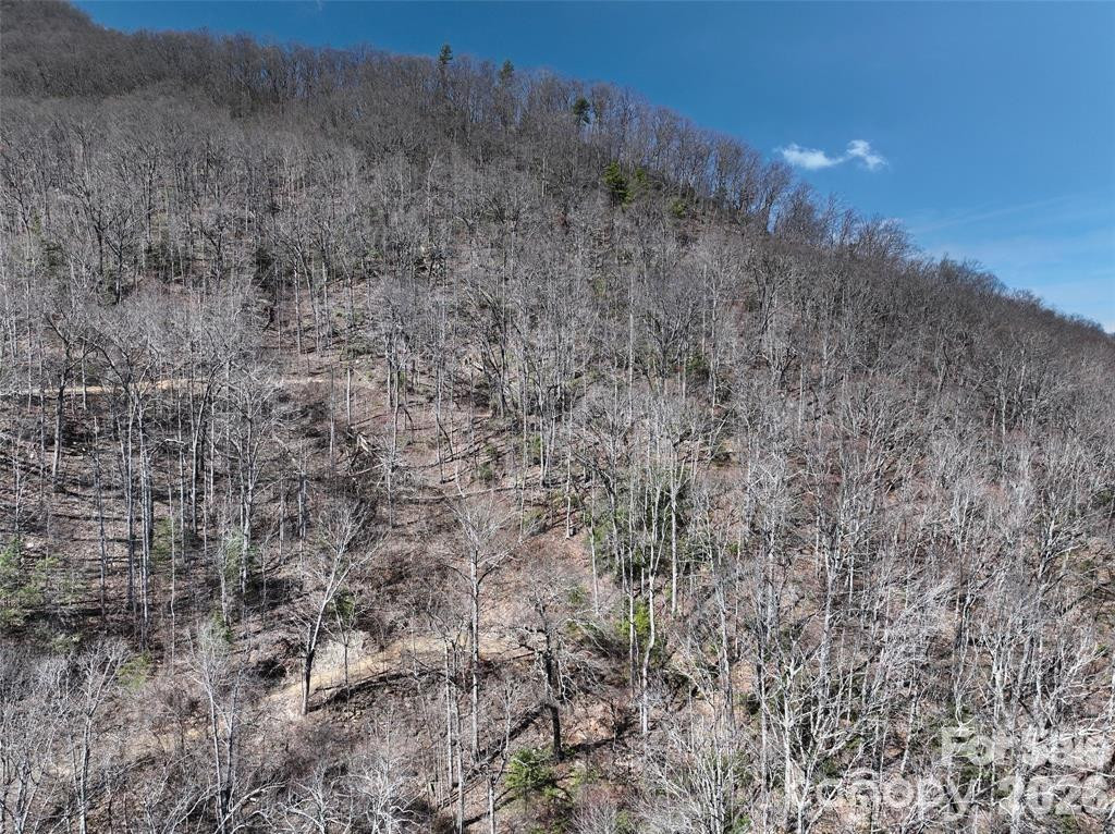 99999 Green Ridge Falls Road #17 - Photo 10