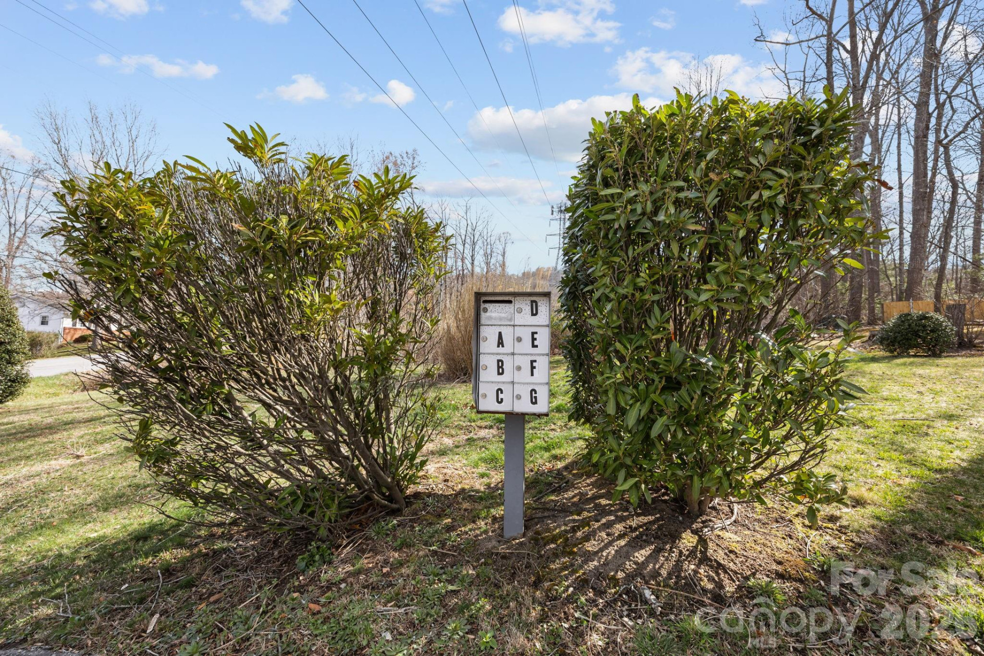 6 Azalea Road #F - Photo 21