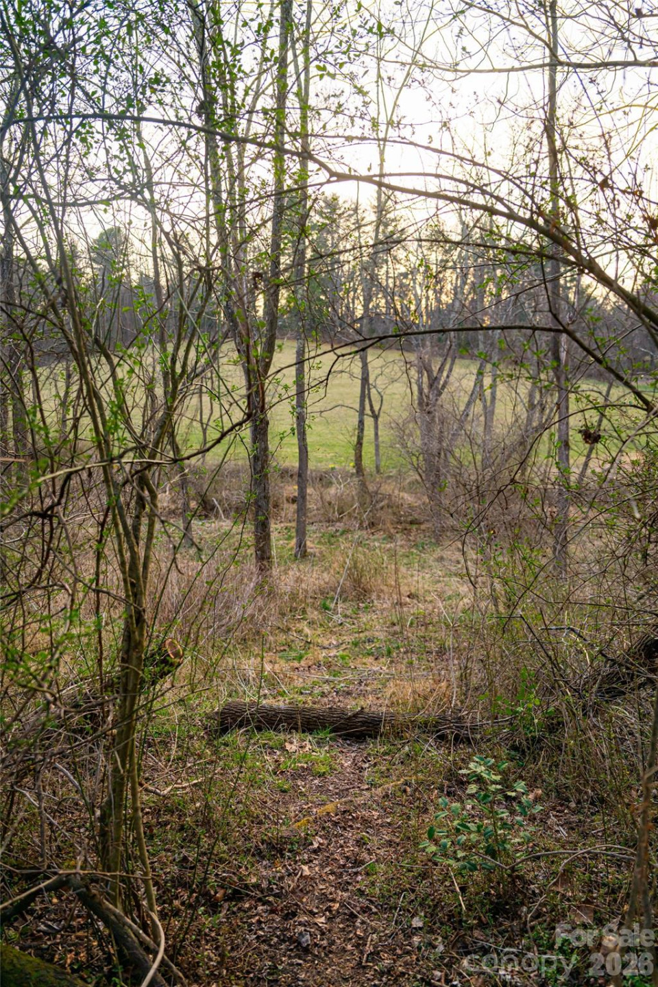 65 Owenby Road - Photo 43