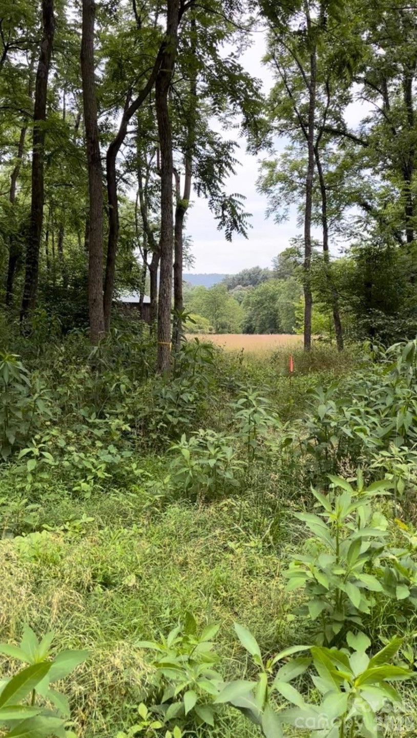 65 Owenby Road - Photo 48