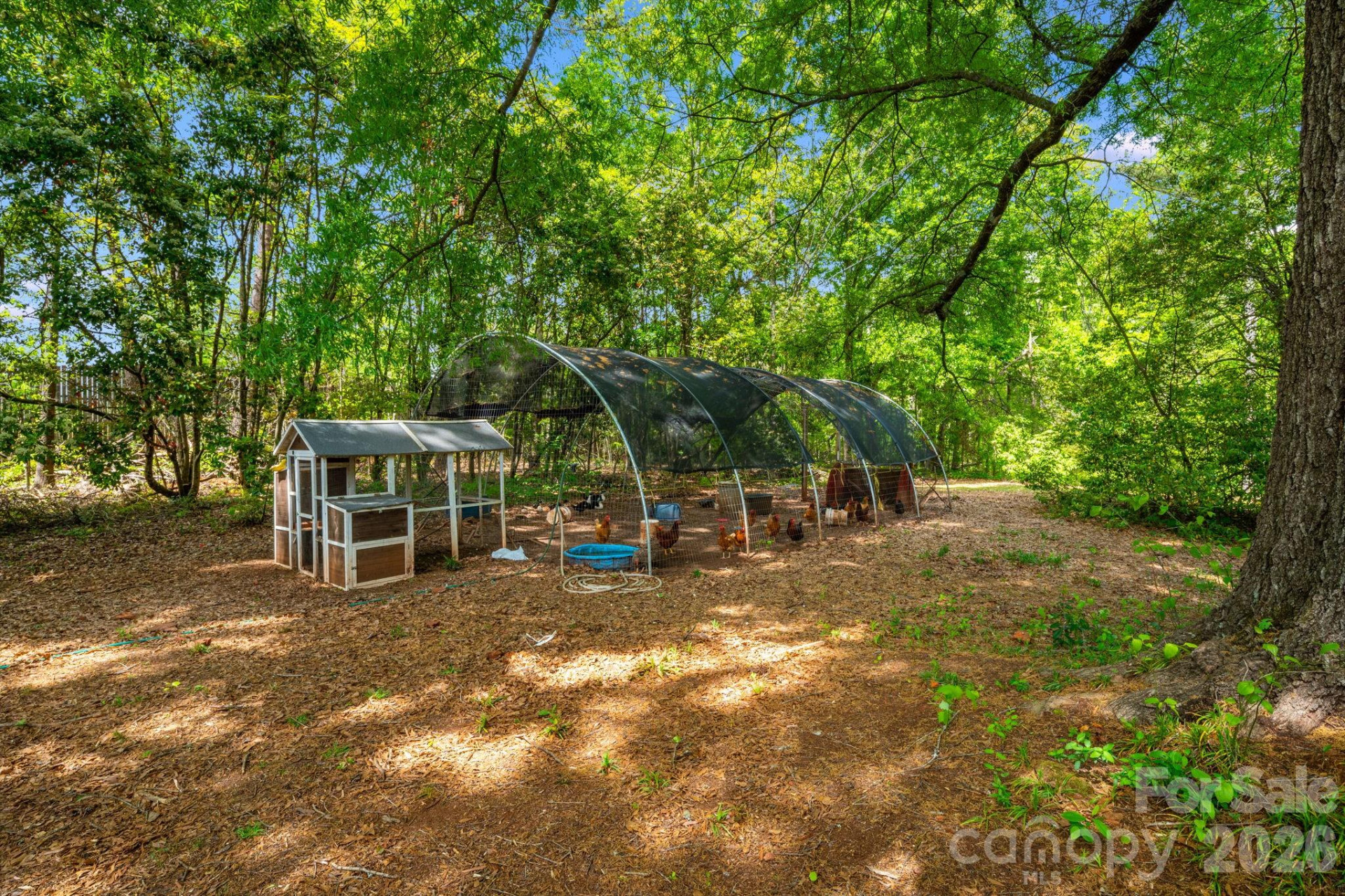 1737 Whitesides Road - Photo 46